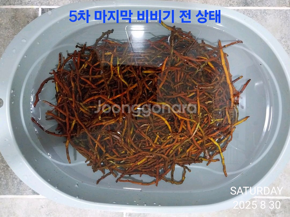 골쇄보 건재 1kg--3
