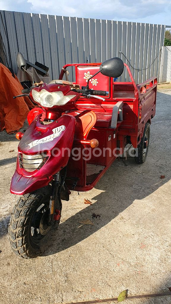 미래전동차.전동삼륜차 어르신전동차.전기오토바이.농업용삼--3