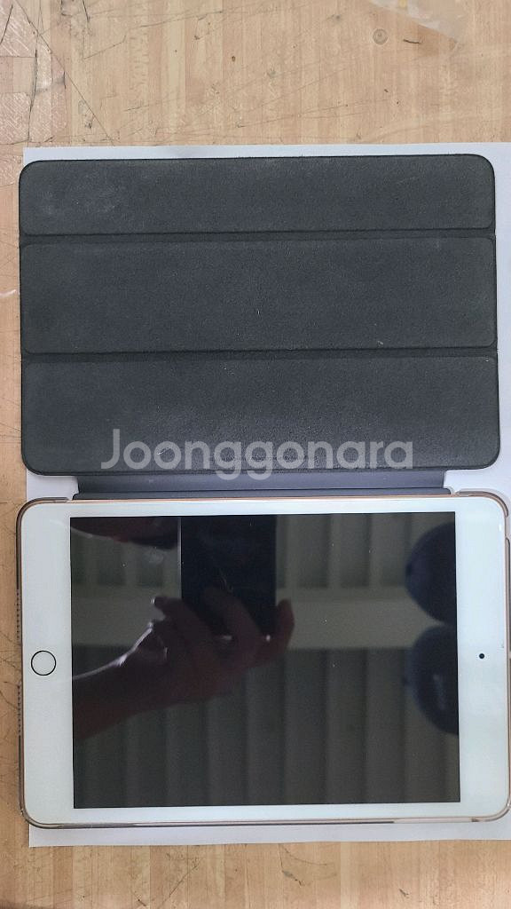 아이패드 미니5 64기가 셀룰러--2