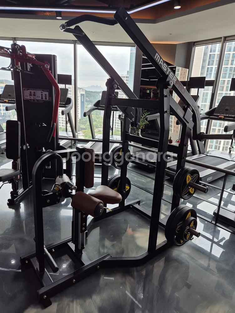 렉스코 마스터프로 프론트 하이렛풀 머신 판매합니다--0