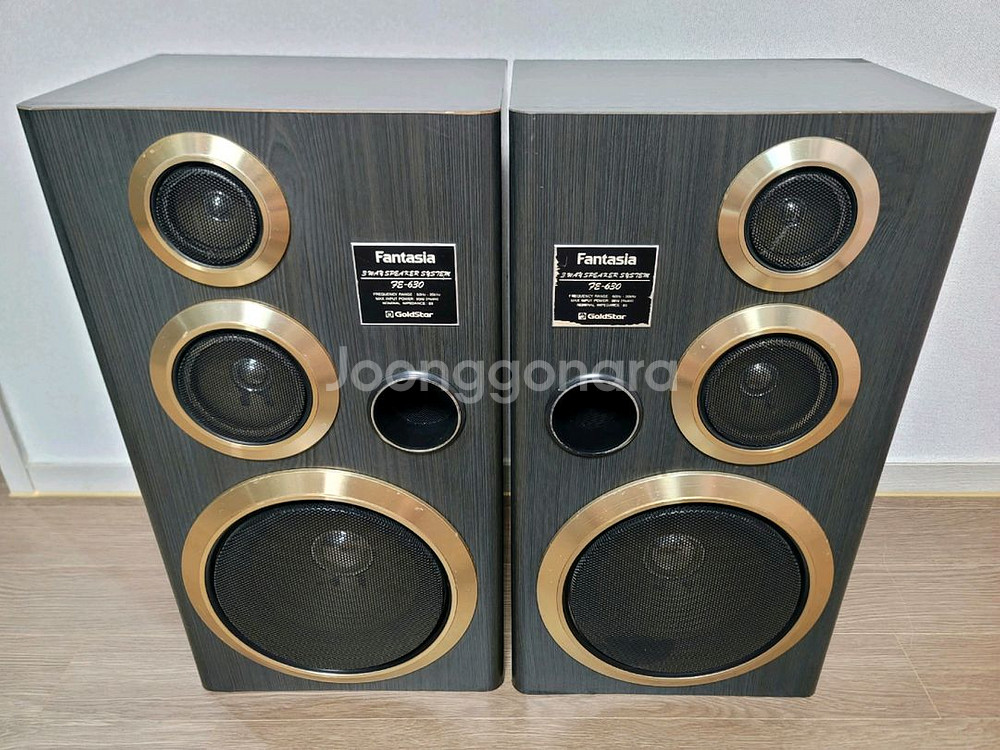금성사 스피커 FE-630--1