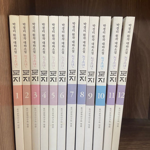 박경리 청소년토지 12권