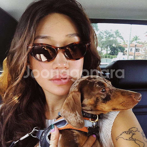 Ray Ban 레이벤 니나--2