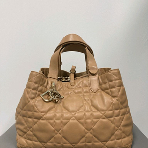 디올 뚜주흐 미듐 토트백