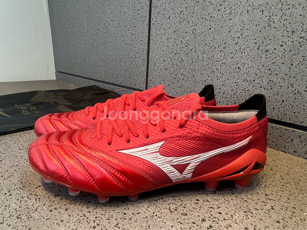 모렐리아네오 IV 베타 MD 260 (일본산)--0