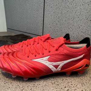 모렐리아네오 IV 베타 MD 260 (일본산)