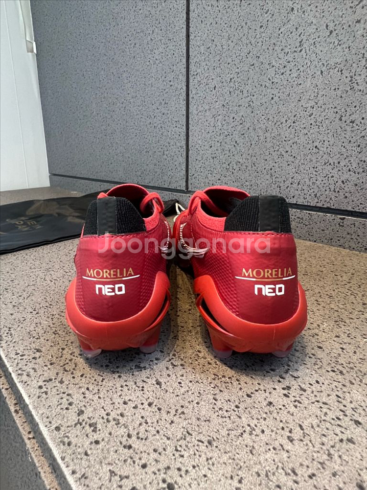 모렐리아네오 IV 베타 MD 260 (일본산)--3