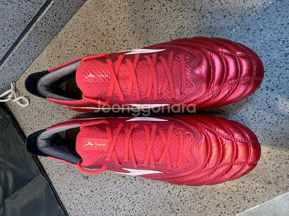 모렐리아네오 IV 베타 MD 260 (일본산)--2