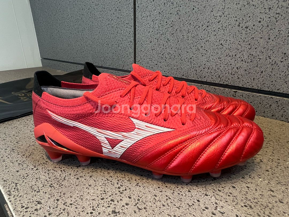 모렐리아네오 IV 베타 MD 260 (일본산)--1