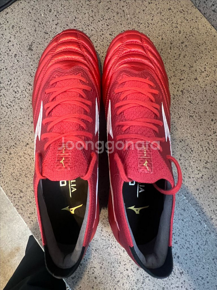 모렐리아네오 IV 베타 MD 260 (일본산)--4