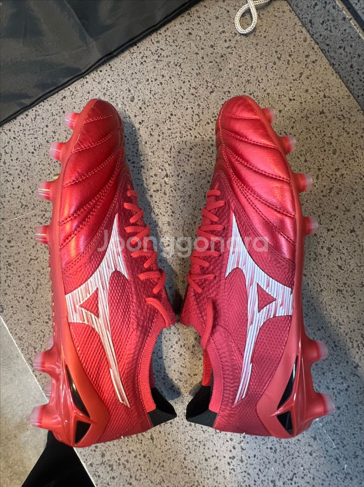 모렐리아네오 IV 베타 MD 260 (일본산)--6