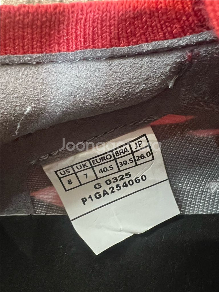 모렐리아네오 IV 베타 MD 260 (일본산)--9