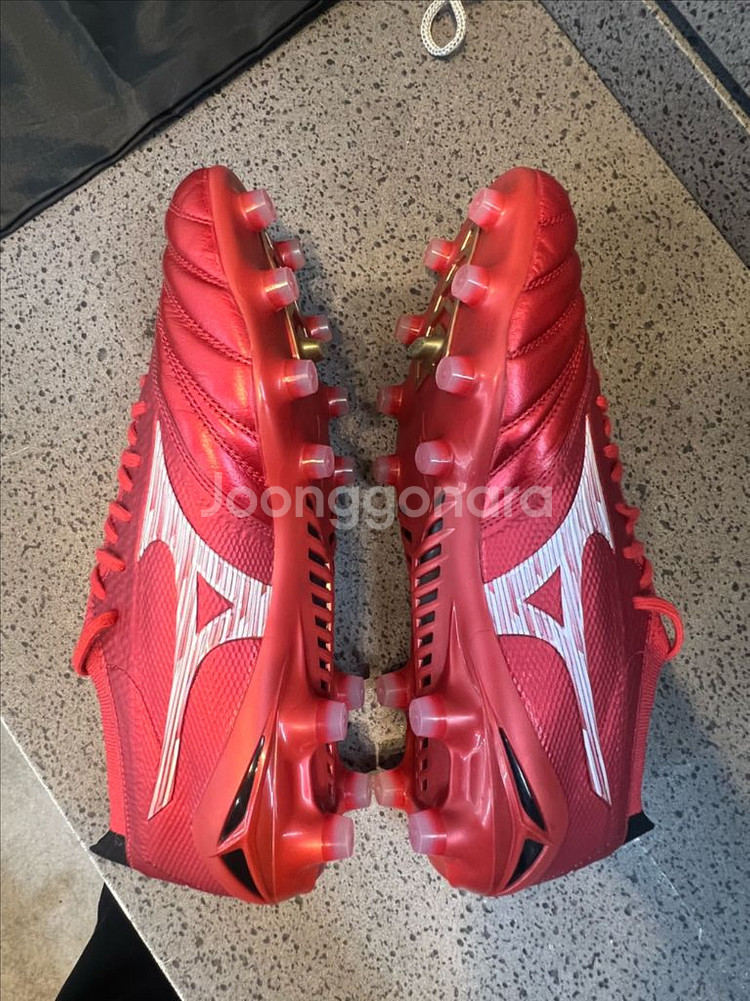 모렐리아네오 IV 베타 MD 260 (일본산)--5