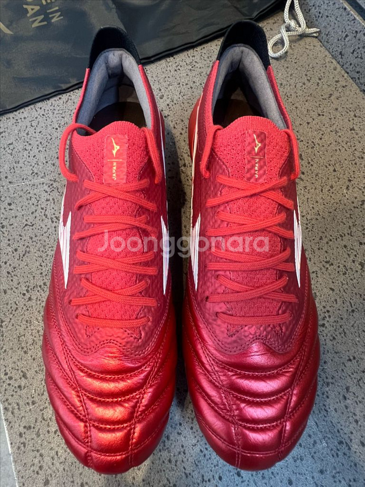 모렐리아네오 IV 베타 MD 260 (일본산)--7