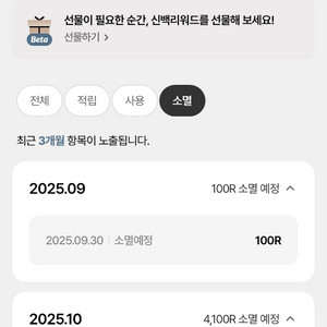 신백리워드4,200원3개 3,700원1개 총16,300