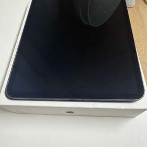 아이패드 프로 m4 11 256 셀룰러 애케플 양도
