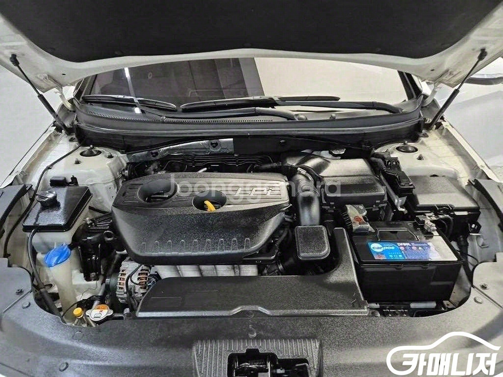 [현대]LF 쏘나타 LPI 모던 (장애인용) (5인승)--4