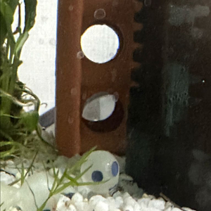 투썸 3만원권 > 26000 ,25200원>21420원