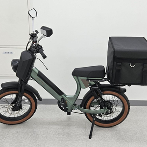 파이톤20 주행거리 24km 새제품 이미지