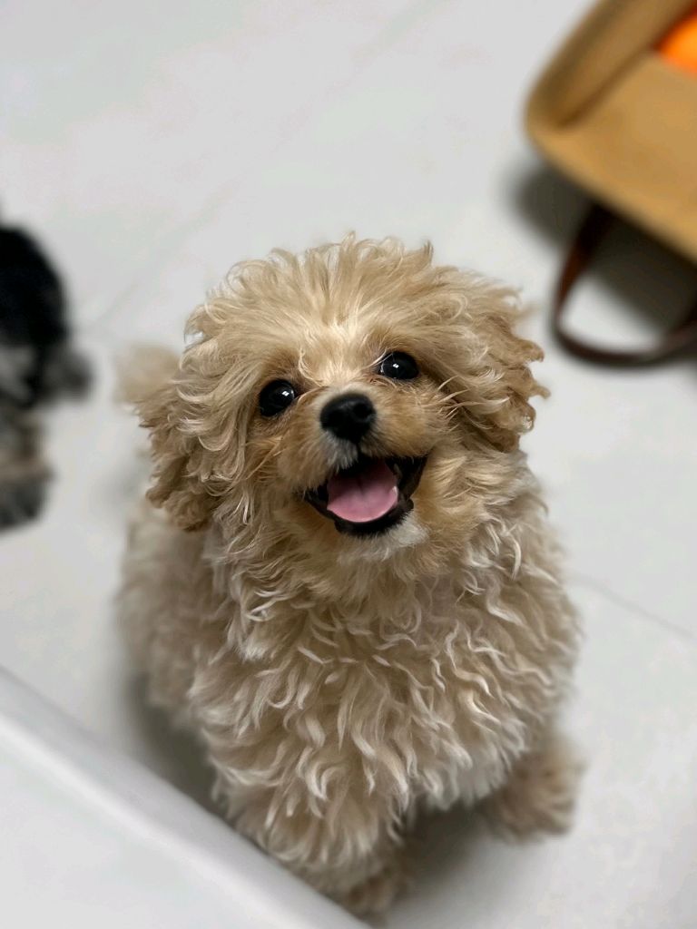 프로필 이미지