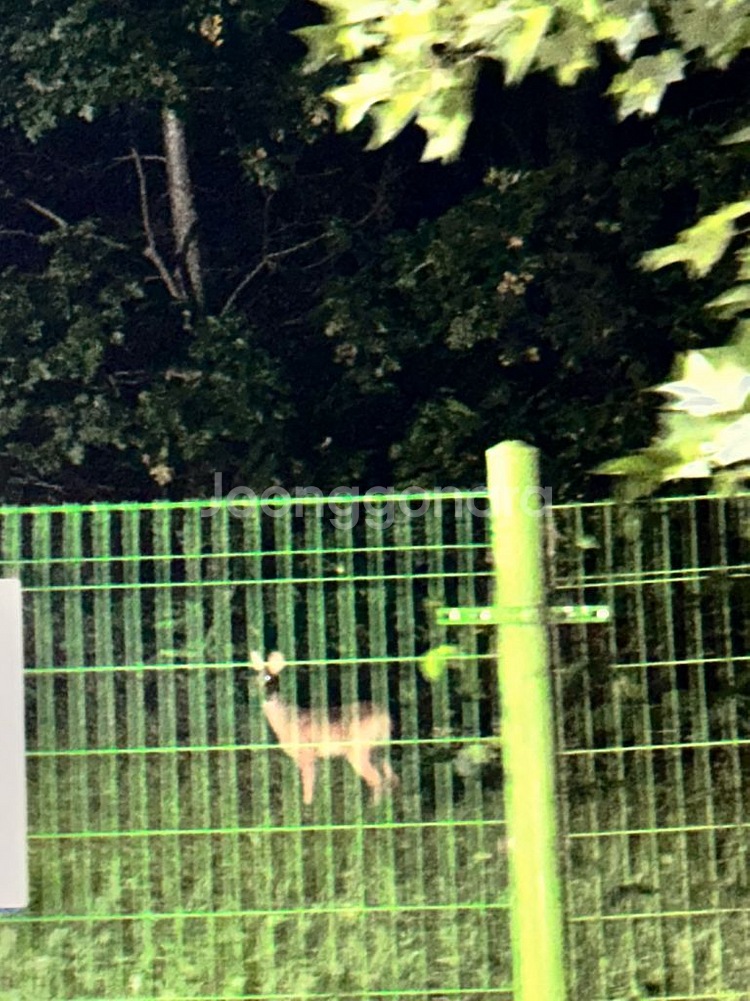 현대백화점 더현대닷컴 구매 구해요--0