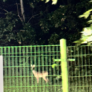 현대백화점 더현대닷컴 구매 구해요