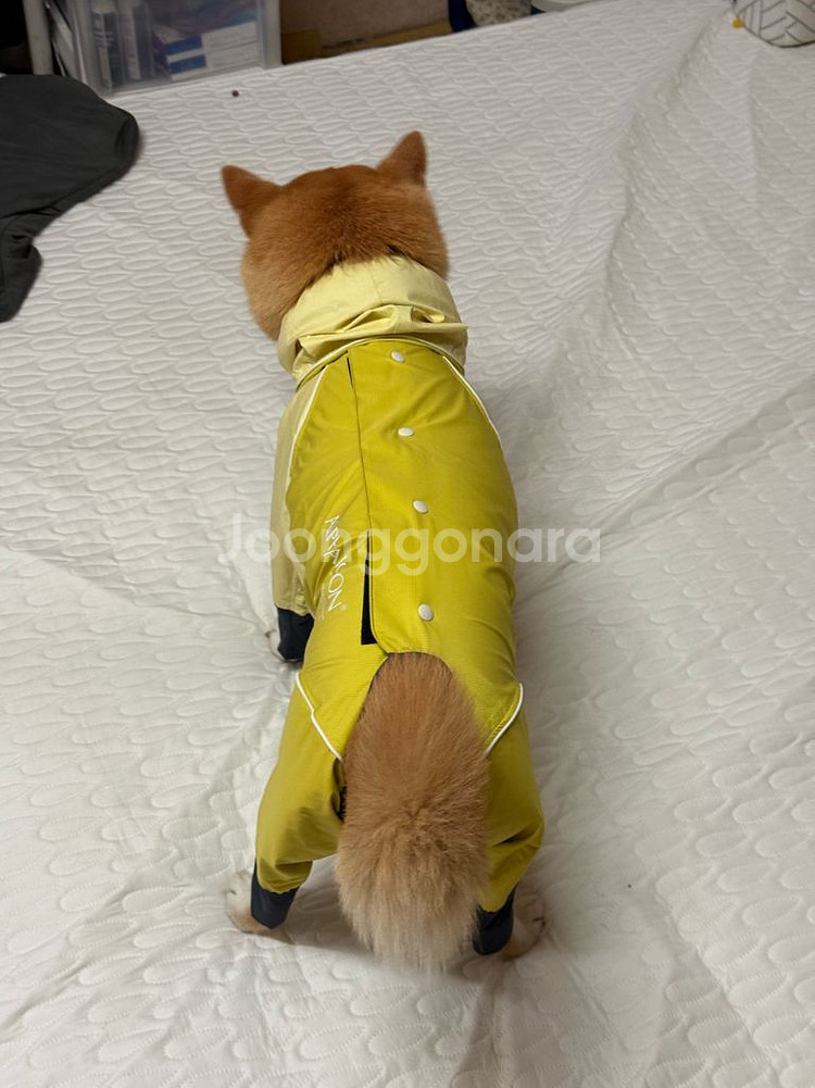 알파아이콘 레인독가드 1L 25년 신상--5