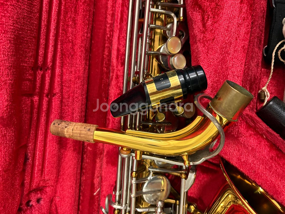 암스트롱 알토 색소폰--1