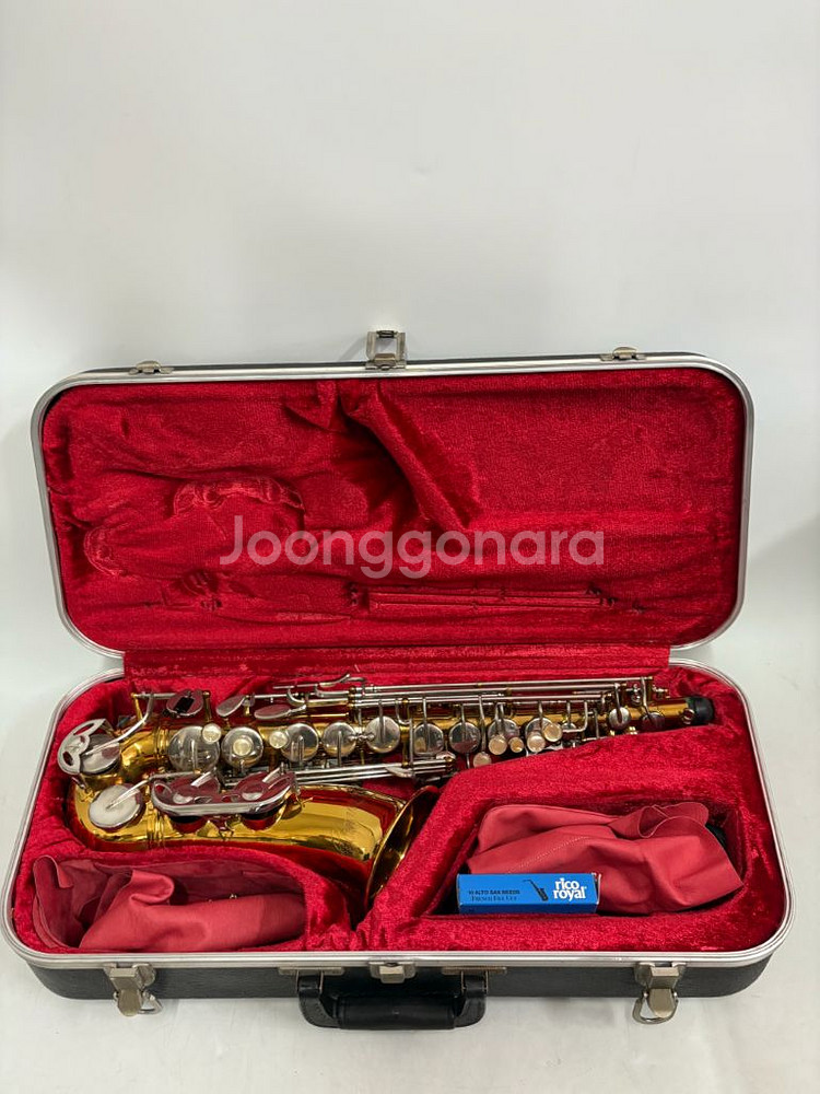 암스트롱 알토 색소폰--0