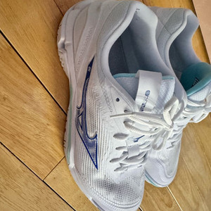 미즈노 스텔스6