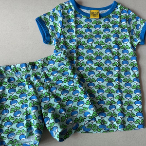 던스스웨덴 반팔반바지 상하 세트