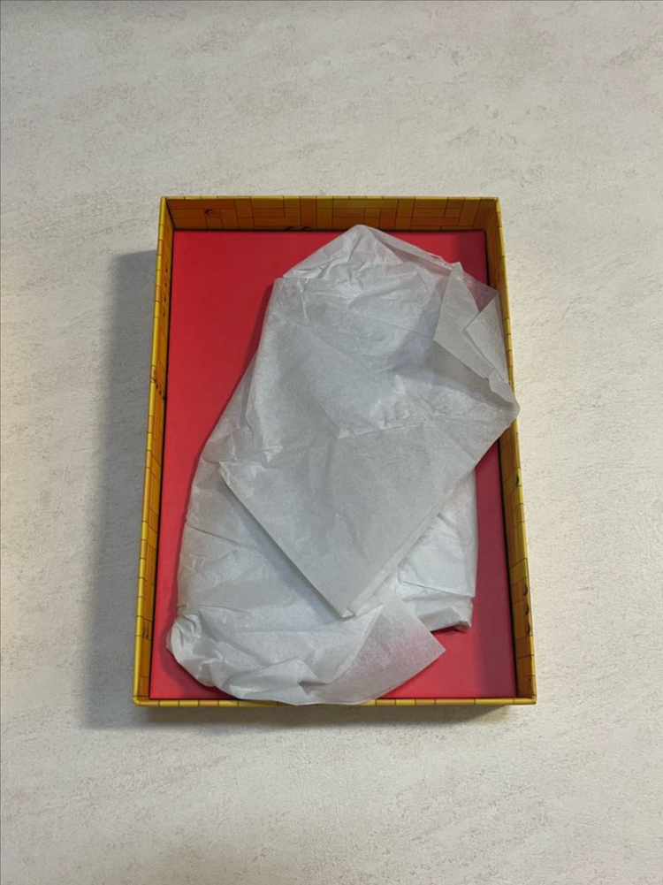 레고 VIP 골드 트로피 23년 하반기--1