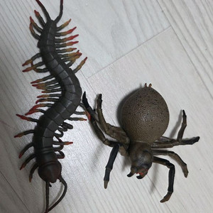 왕거미 왕지네 피규어