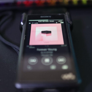 Sony NW WM1A