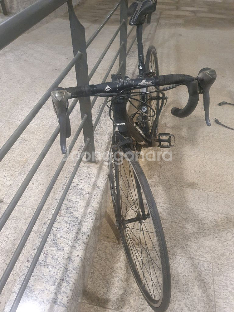 메리다 스컬트라 100 xxs, xs--3