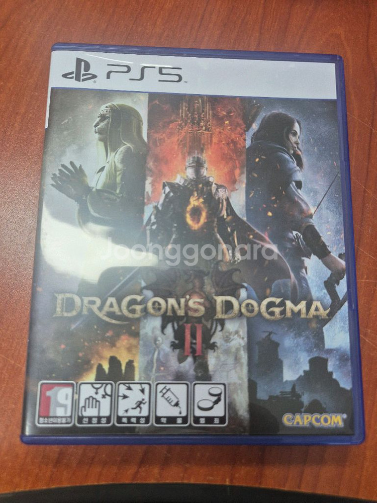 ps5 드래곤즈 도그마2--0