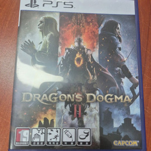 ps5 드래곤즈 도그마2