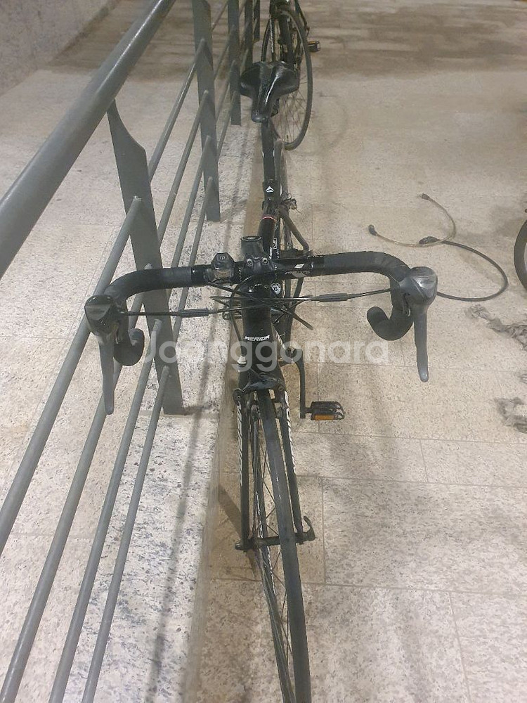 메리다 스컬트라 100 xxs, xs--5