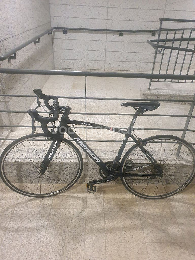 메리다 스컬트라 100 xxs, xs--6