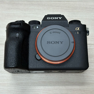 소니 a1 / 엔젤버드 cfa 1tb