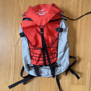 아크테릭스 팔라스