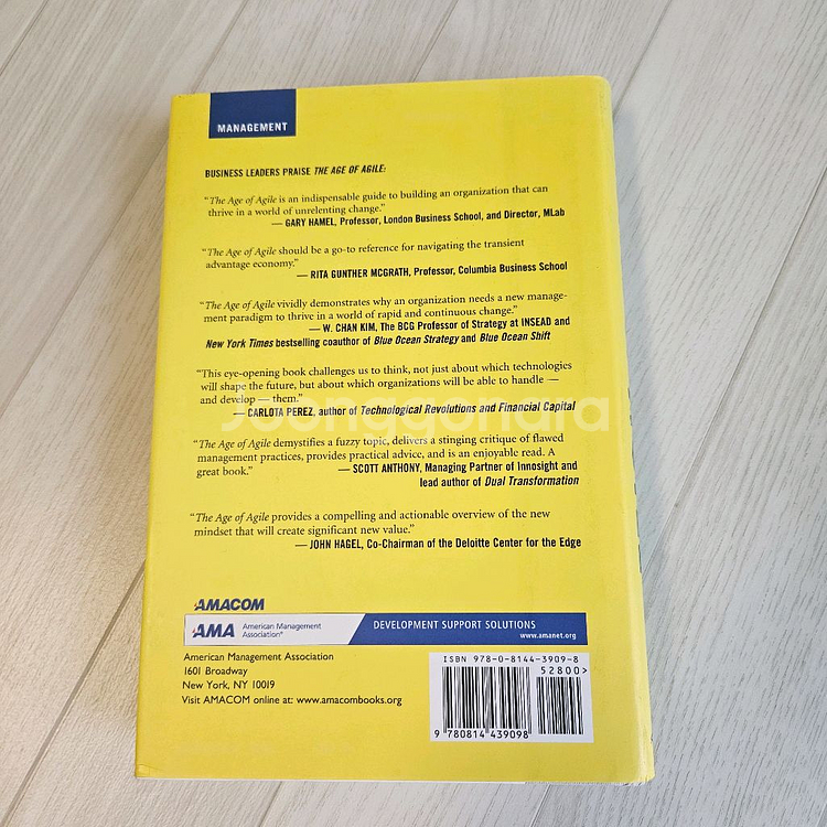 The AGE of AGILE 책 원서--1