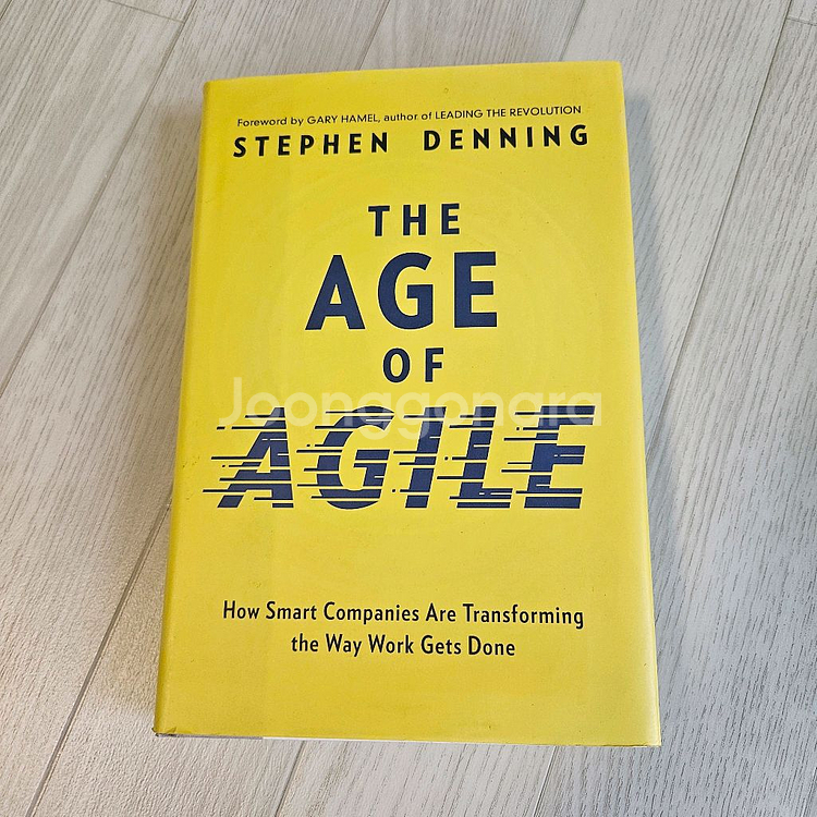 The AGE of AGILE 책 원서--0
