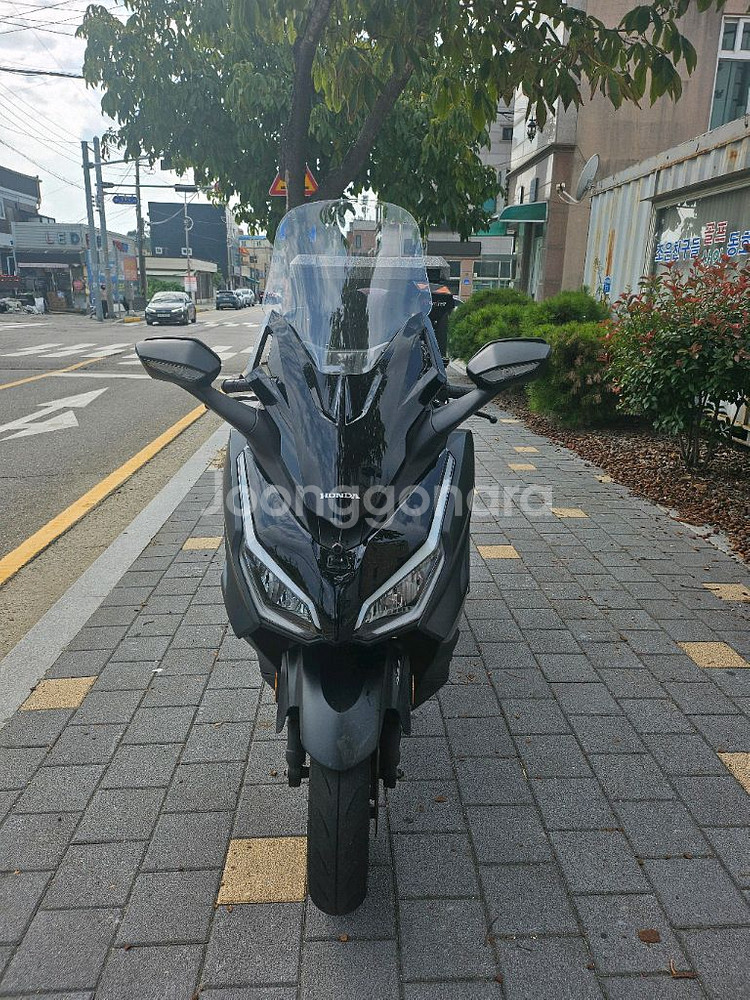 포르자350 신차급 급매여 24년식--0