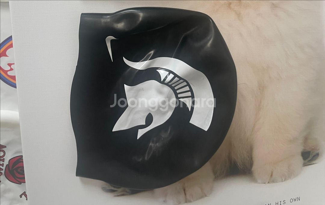 스파르탄 블랙 입수품--0