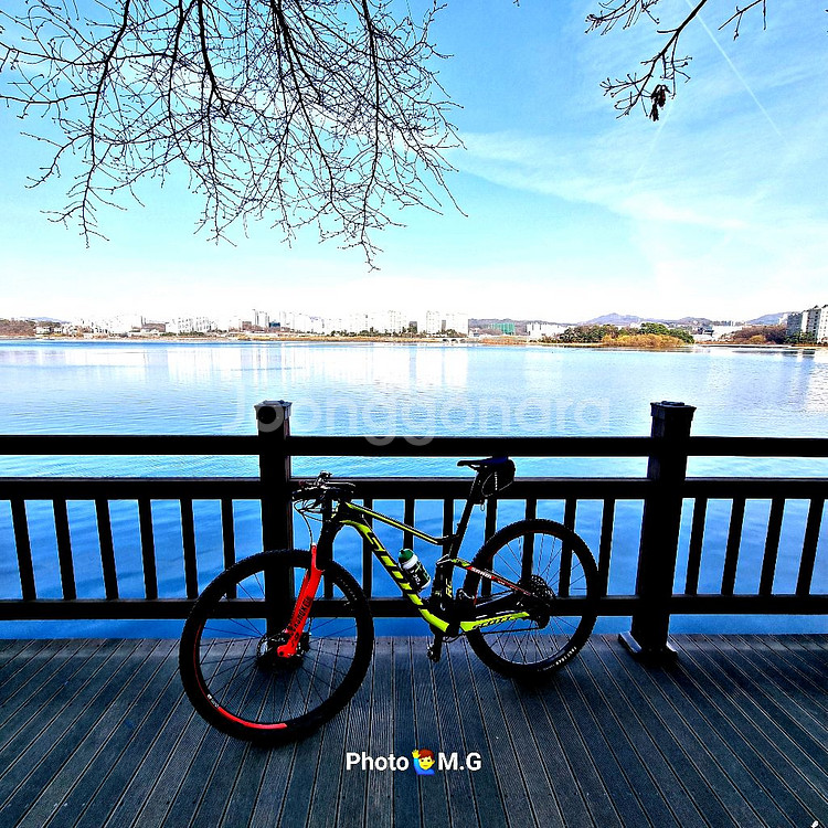 스캇 MTB SS RC 월드컵 풀샥 판매--0