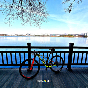 스캇 MTB SS RC 월드컵 풀샥 판매