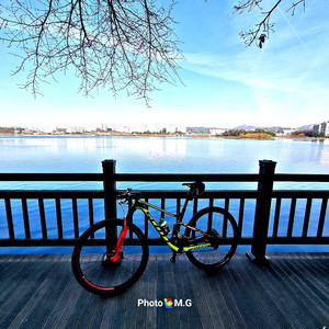 스캇 MTB SS RC 월드컵 풀샥 판매
