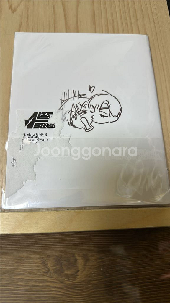 에이스테 이반 틸 낙서북--2