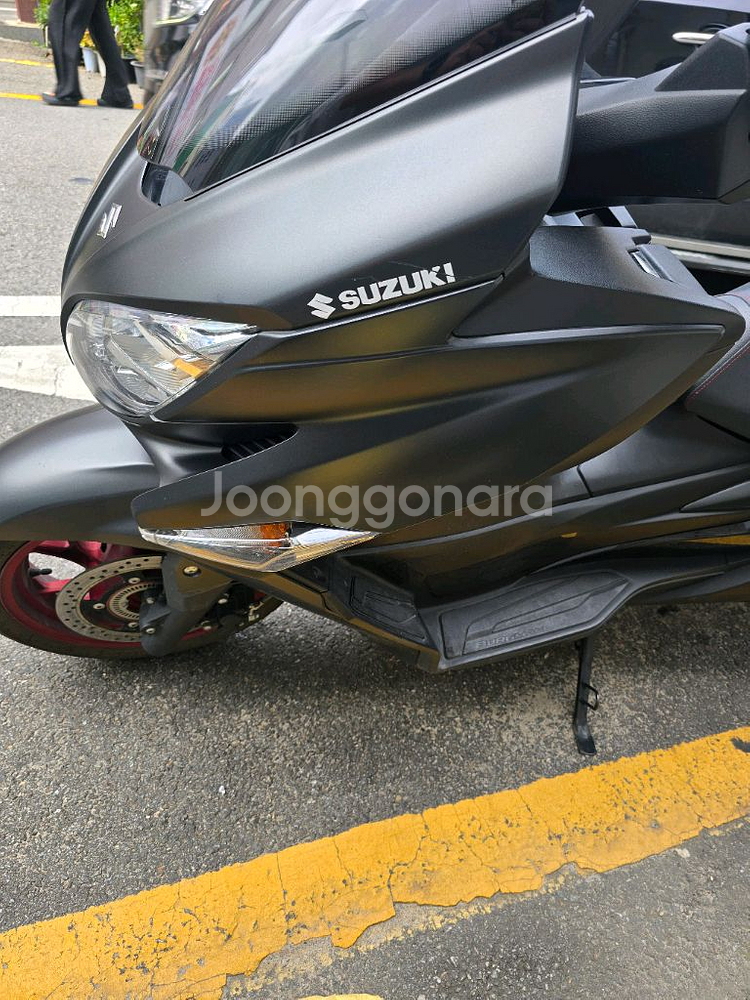 버그만400--1